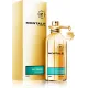 Montale Day Dreams