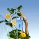 Kenzo L'Eau Kenzo Pour Homme